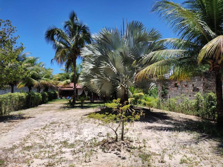 Casa Cumuruxatiba, Natureza E Charme Εξωτερικό φωτογραφία